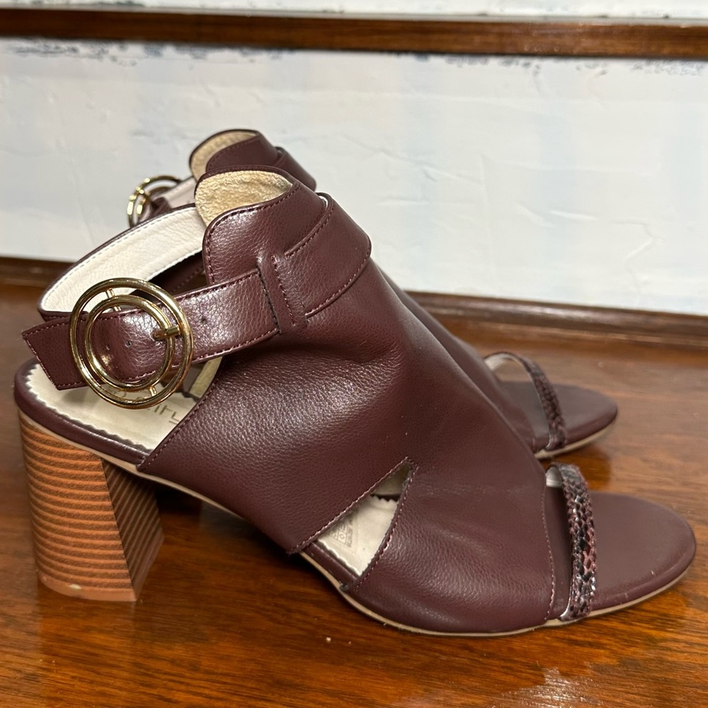 City Chic Buckle Leona Shootie Brown Tan Wide Fit Size 43 / US 11-12